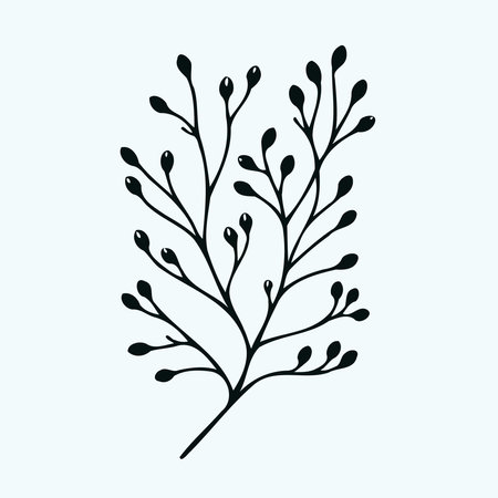 set of leaves black and white silhouettes of leaves seamless pattern with leaves, leaf close up, leaf patterns, set of decorative elements of plants stylizedのイラスト素材
