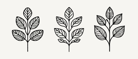 set of leaves black and white silhouettes of leaves seamless pattern with leaves, leaf close up, leaf patterns, set of decorative elements of plants stylizedのイラスト素材