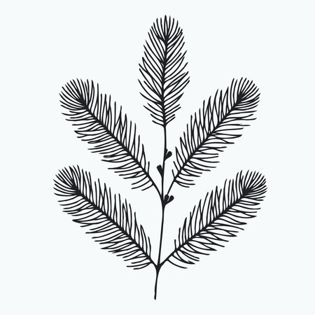 Seamless pattern with fir branches. Vector illustration. spruce branches, conifer, lineart pine cones, pine tree, christmas pattern background, pine needlesのイラスト素材