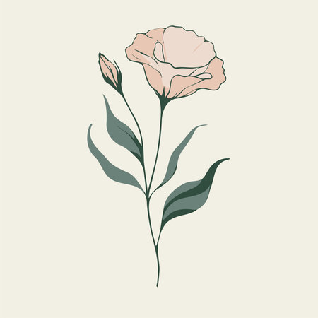 set of contour spring flowers eustoma, line art floral, leaves black and white illustration lisianthus set of decorative elements of plants Eschscholziaのイラスト素材