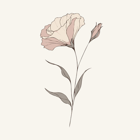 set of contour spring flowers eustoma, line art floral, leaves black and white illustration lisianthus set of decorative elements of plants Eschscholziaのイラスト素材