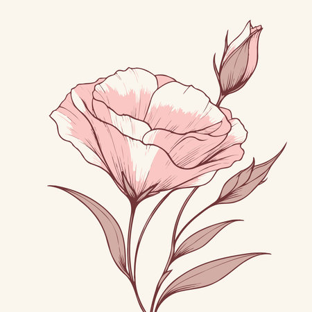 set of contour spring flowers eustoma, line art floral, leaves black and white illustration lisianthus set of decorative elements of plants Eschscholziaのイラスト素材
