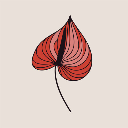 set of contour spring flowers Spathiphyllum line art floral, leaves black and white illustration Anthurium set of decorative elements of plants stylized Aglaonema, Callaのイラスト素材