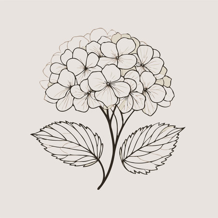 Hand drawn botanical illustration. set of contour flowers Geranium line art floral black and white illustration Hydrangea set of decorative elements of plants stylized Rhododendronのイラスト素材