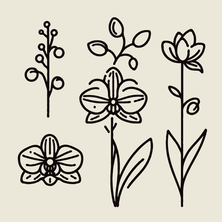 Set of hand drawn decorative elements orchids. Vector illustration set of contour flowers orchid line art floral, black and white Phalaenopsis plants stylized Cymbidium, Vanillaのイラスト素材