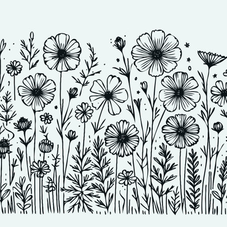 outline black and white line art, lineart, Vector doodle flower. set of contour floral of cosmos, Chamomile, daisies, grasses, leaves decorative elements banners, posters, logoのイラスト素材