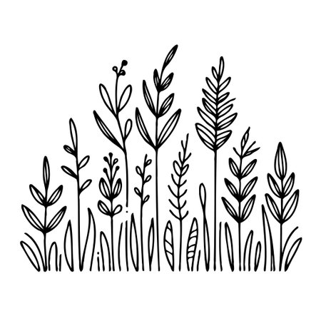 outline black and white line art, lineart, Vector doodle flower. set of contour floral of cosmos, Chamomile, daisies, grasses, leaves decorative elements banners, posters, logoのイラスト素材
