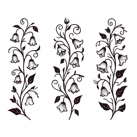Set of hand drawn floral elements. Vector illustration. Black and white.のイラスト素材