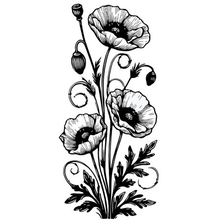 Stylized poppy flowers. Vector illustration. Black and white.のイラスト素材