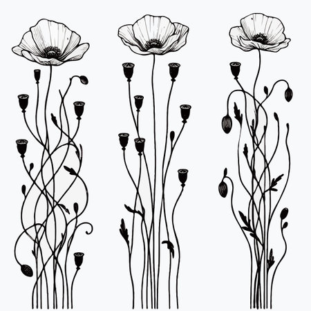 Set of hand drawn poppy flowers. Vector illustration isolated on white background.のイラスト素材