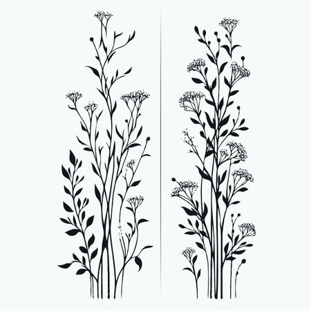 Set of hand drawn wildflowers. Vector illustration. Black and white.のイラスト素材