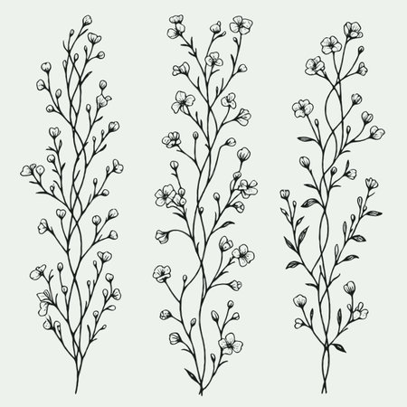 Set of hand-drawn doodle floral elements. Vector illustration.のイラスト素材