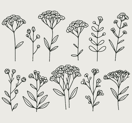 Set of hand drawn doodle herbs and plants. Vector illustration.のイラスト素材