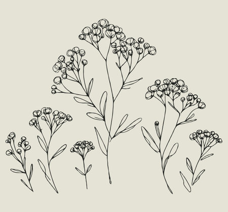 Hand drawn wildflowers set. Vector illustration for your design.のイラスト素材