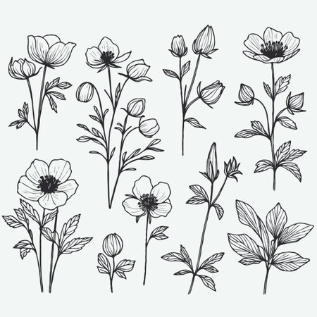 Set of hand drawn wildflowers. Vector illustration for your designのイラスト素材