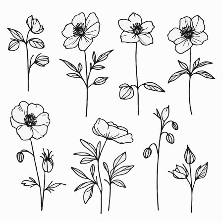 Vector set of hand drawn wildflowers. Isolated on white background.のイラスト素材