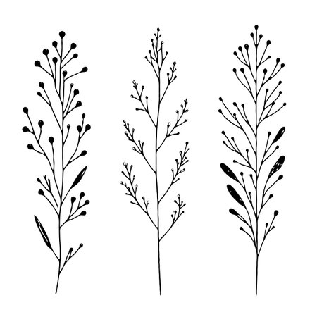 Set of hand drawn doodle branches and leaves. Vector illustration.のイラスト素材