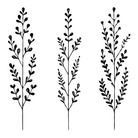 Set of black silhouettes of twigs with leaves. Vector illustrationのイラスト素材