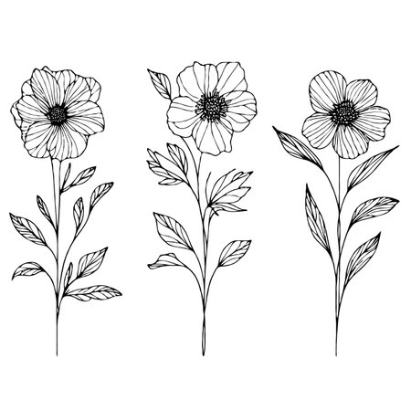 Set of black and white poppies. Hand drawn vector illustration.のイラスト素材