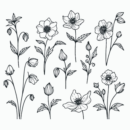 Set of hand drawn flowers on a white background. Vector illustration.のイラスト素材