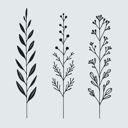 Set of hand drawn doodle branches and leaves. Vector illustration.のイラスト素材