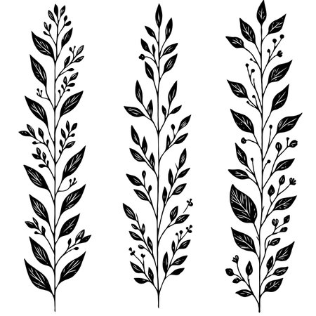 Set of vector hand drawn decorative floral elements. Black and white illustration isolated on white background.のイラスト素材