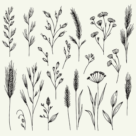 Set of hand drawn meadow herbs and flowers, vector illustration.のイラスト素材