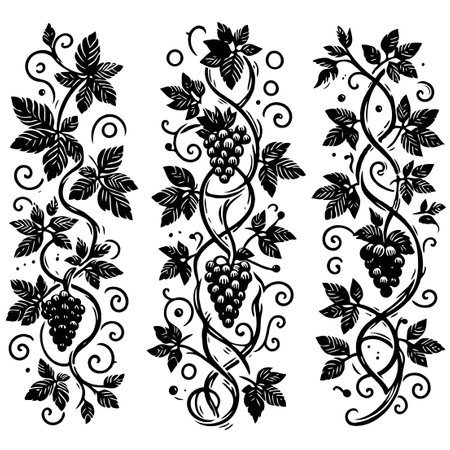 Grapes, vineyard, black and white vector illustration.のイラスト素材