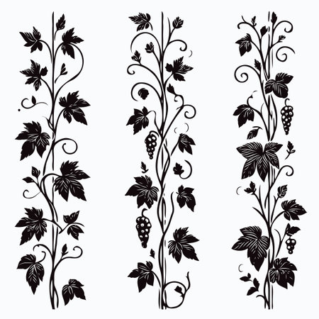 Vector set of decorative elements. Black silhouettes of grapes and leaves.のイラスト素材