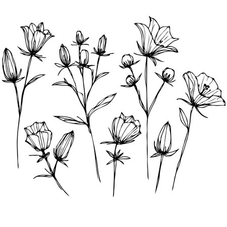 Set of hand drawn flowers isolated on white background. Vector illustration.のイラスト素材