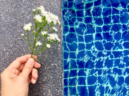 White aster flowers with bud was holding by hand and put on stone floor near swimming pool in...