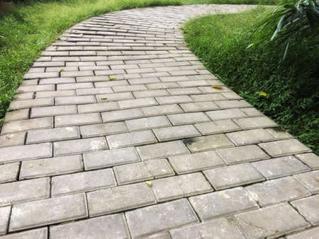 Concrete footpath arrangement by curve in the garden. Sunshine on pathway with old leaf fallen.の写真素材