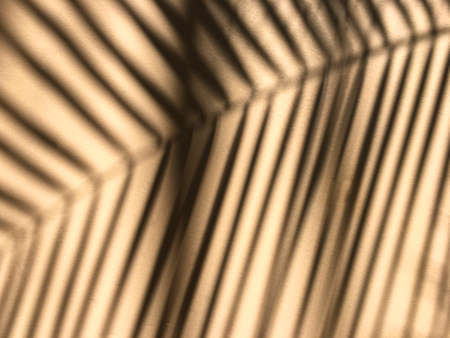 Palm leaf silhouette soft focus on rough light orange background. Sunlight through green leaf and reflect on wall to be black color.の写真素材