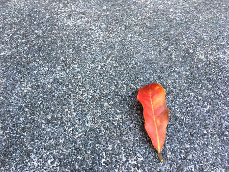 Red dried leaf drop on grainy and small stone floor. Classic surface texture background.
