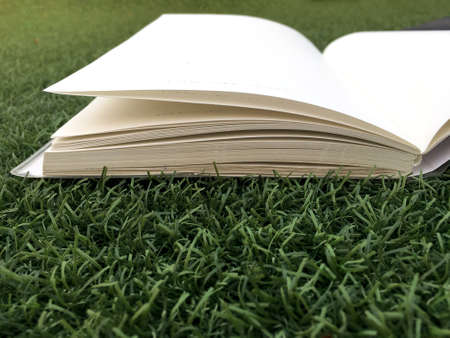 Opened book on green grass in the gardenの写真素材