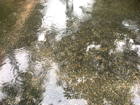 Raindrops on cement floor with tree shadow reflection on water surface.の写真素材