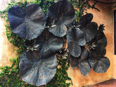 Pinchbeck large lotus leaves decoration on the orange wall.の写真素材