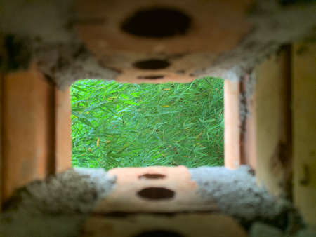 Fresh green bamboo leaves behind orange brick and grey concrete window slot with selective focus.