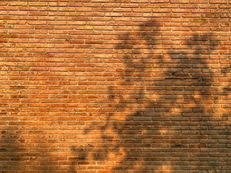 Orange old brick wall with concrete building with big tree shadow. Old vintage brick wall texture stained background.の写真素材