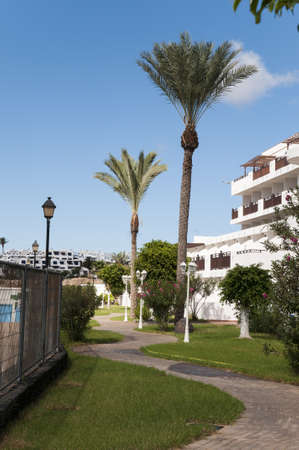 hotel garden where there are terraces of the rooms and the palmsのeditorial素材