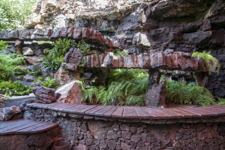 inside the cave where the tables and plants observedのeditorial素材