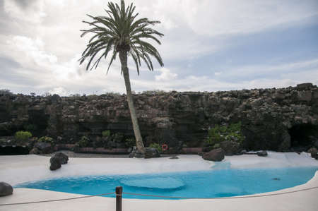 lake with palm within Jameos water in Lanzaroteのeditorial素材