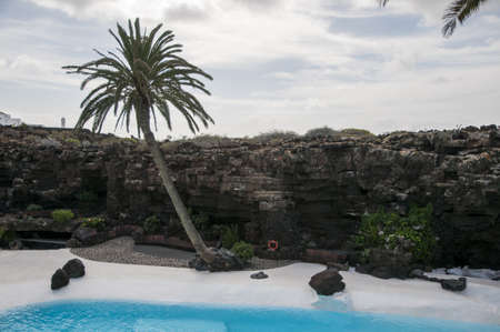 lake with palm within Jameos water in Lanzaroteのeditorial素材