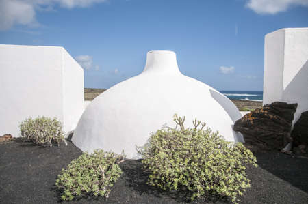 garden with some houses decorated with rareのeditorial素材