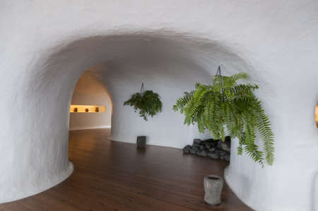 white house decorated with plants on the wallsのeditorial素材