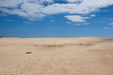 Fuerteventura dunes which shows that it's like being in a desert