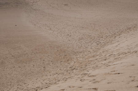 Fuerteventura dunes which shows that it's like being in a desertの写真素材