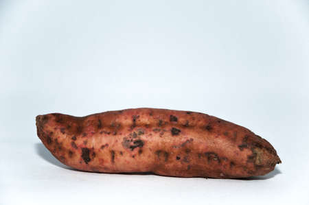 sweet potato used for halloweenの写真素材