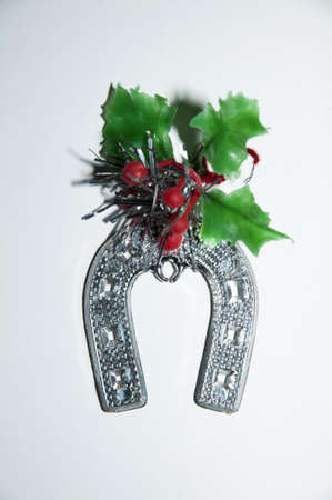 horseshoe with decorative flowers and fruits of Christmasの写真素材