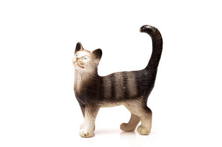 cat toy on a white backgroundの写真素材